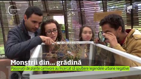 Expoziţie de plante inedită în Columbia