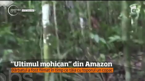 Imagini incredibile au fost suprinse în Amazon