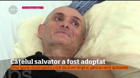 Câinele maidanez care a salvat viaţa unui biciclist rănit pe munte a fost adoptat de o familie din Reşiţa