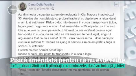 Pisica i-a adus ghinion. O femeie a fost amendată într-un autobuz din Cluj-Napoca pentru că nu i-a cumpărat bilet felinei