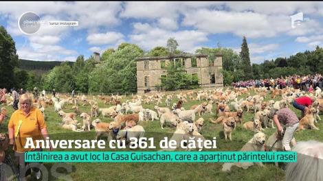 Rasa Golden Retriever a împlinit 150 de ani