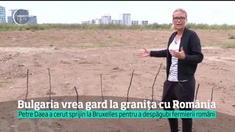 Bulgarii ridică zid la graniţa cu România. Se tem de migraţia animalelor. Mai exact, pesta porcină africană, care face ravagii la noi, a trecut deja graniţa