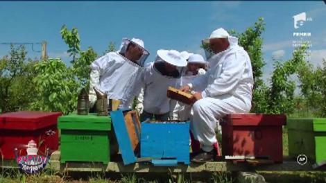 Râzi cu lacrimi! Romică Țociu și Sânziana Buruiană, apicultori de voie, de nevoie!