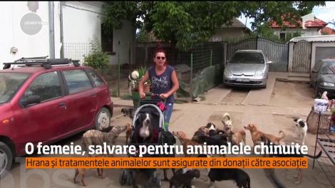 Animalele supuse actelor de cruzime, uneori greu de imaginat, au cel puţin un salvator la noi în ţară!