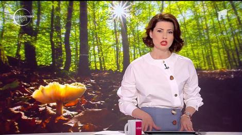 Două familii s-au intoxicat cu ciuperci culese din pădure!