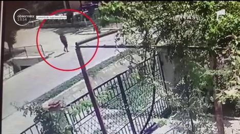 Un cal a băgat un om în spital, în judeţul Constanţa