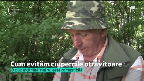 Ciupercile de pădure pot fi o capcană mortală pentru cei care nu ştiu să aleagă. Cele fără inel nu sunt comestibile