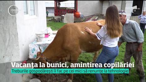 Vacanța la bunici, locul în care copiii lasă deoparte gadgeturile pentru jocurile clasice