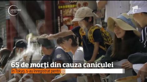 Este stare de dezastru natural şi în Japonia unde s-au înregistrat cele mai ridicate temperaturi din istorie