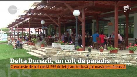 Delta Dunării, una dintre cele mai frumoase locaţii de pe continent îşi primeşte turiştii în această vară