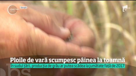 Vești proaste pentru milioane de români! Ploile torențiale vor aduce scumpiri mari! La ce trebuie să se aștepte!