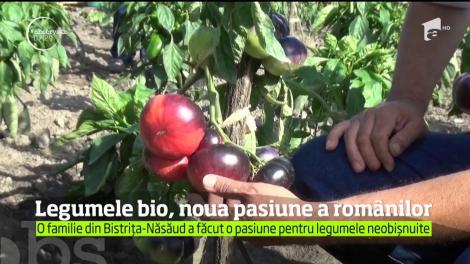 Românii devin din ce în ce mai interesaţi de produsele naturale