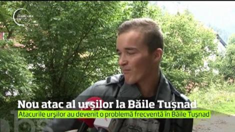 Ursul a atacat din nou, de data aceasta la Băile Tuşnad