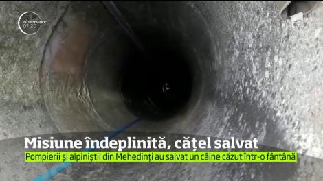 Salvare spectaculoasă în judeţul Mehedinţi. Pompierii şi alpiniştii de intervenţie au încheiat cu succes o misiune mai puţin obişnuită