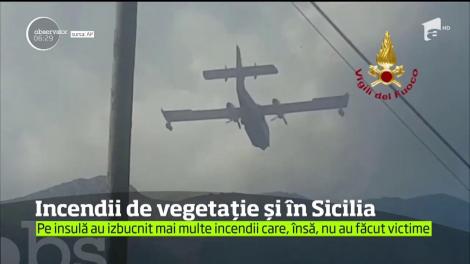 După Grecia, mai multe incendii de vegetaţie au izbucnit şi în Sicilia dar, din fericire, aici nu s-au înregistrat victime