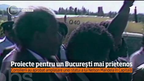 Într-o Capitală sufocată de trafic, Primăria Generală face planuri pentru înnoirea parcului auto