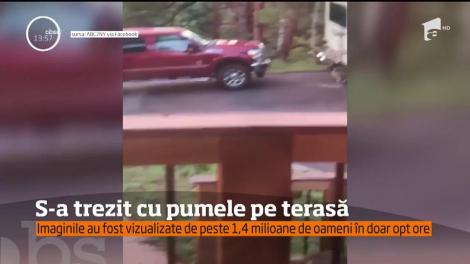 Nimic nu poate fi mai plăcut dimineaţa decât o cafea servită în aer liber. De aceeaşi părere a fost şi un american până când s-a trezit cu patru pume pe terasa casei sale