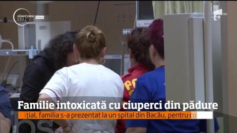 Ciupercile i-au trimis la spital, în stare gravă!