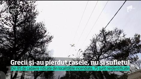 Imagini din mijlocul iadului din Grecia. Trimişii speciali Observator au fost voluntari pentru o zi