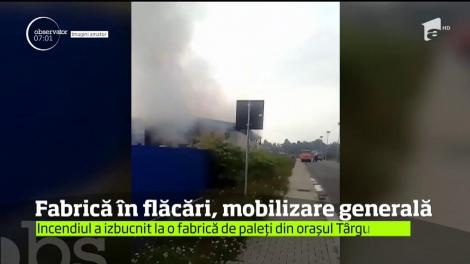 Un incendiu puternic a cuprins o fabrică de paleţi, în județul Maramureș