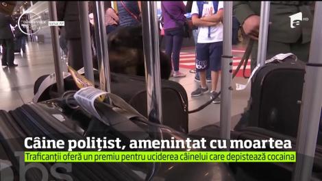 Câine polițist, amenințat cu moartea