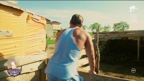 Ruby și Dorian Popa, puși să mulgă caprele: „Sigur nu o doare dacă trag”