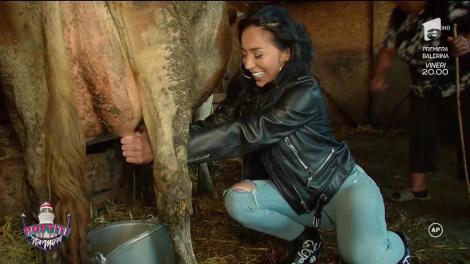 Ooo, dar ce imagine! După sesiunea de muls capre, Ruby și Dorian Popa au trecut la vaci