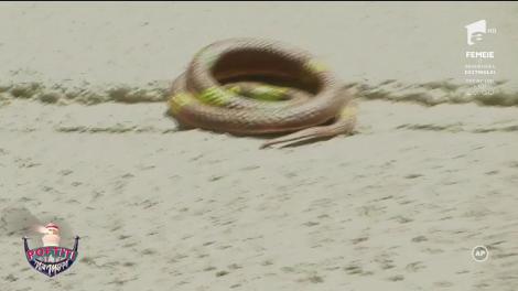 Angie s-a răzbunat pe Nea Marin și l-a udat din cap până în picioare cu apă