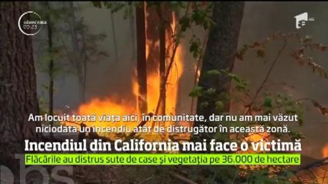 Marele incendiu care devastează pădurile Californiei a făcut încă o victimă