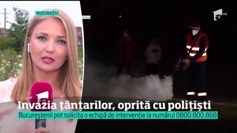 Invazia țânțarilor din Capitală, oprită cu polițiști