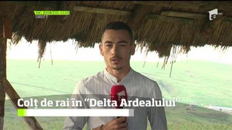 Colț de rai în "Delta Ardealului"