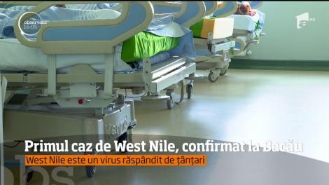 Alertă în Bacău! Primul caz de West Nile a fost confirmat oficial în România