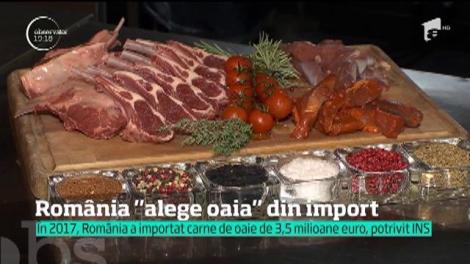 Suntem în topul crescătorilor de oi din Europa, dar mâncăm carne tot din import