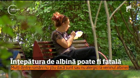 Înțepătura de albină poate fi fatală