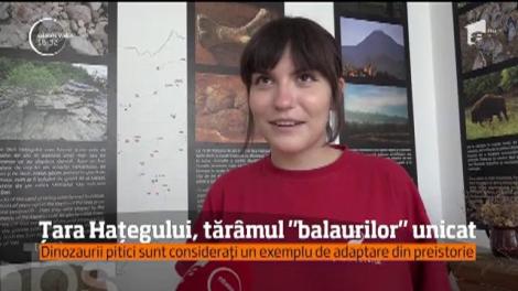 Țara Hațegului, tărâmul „balaurilor” unicat