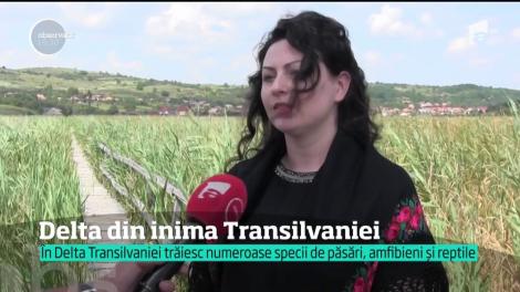 Delta din inima Transilvaniei, zona turistică uitată de lume