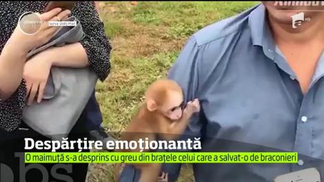 Gest înduioşător al unui animal rar recuperat din mâinile comercianţilor ilegali