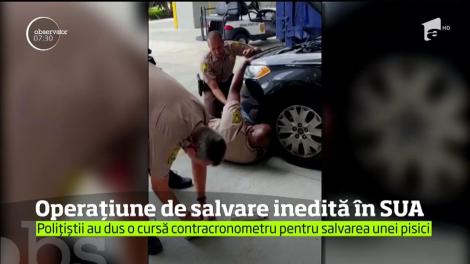 Operaţiune inedită pentru poliţia din Miami. Mai mulţi ofiţeri au fost mobilizaţi pentru a scoate un pui de pisică rămas blocat între componentele unei maşini