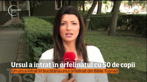 Un urs a intrat într-un orfelinat din Băile Tuşnad, unde locuiesc 50 de copii şi 10 angajaţi ai centrului