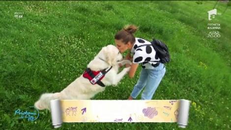 Happy, cățelul care schimbă VIEȚI, a venit la emisiunea „Prietenii de la 11”! Ce super PUTERE are patrupedul?