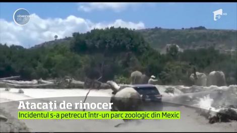 Atacați de rinocer! Incidentul s-a petrecut într-un parc zoologic din Mexic