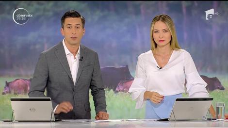 E pestă porcină, dar mistreții umblă pe ulițe