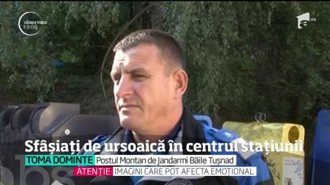 Cel mai grav atac al urşilor a băgat doi tineri în spital! O ursoaică i-a sfâşiat în plină stradă