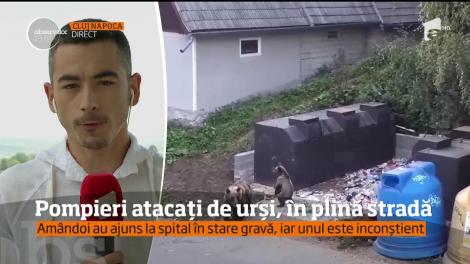 Doi pompieri voluntari din Tuşnad au ajuns la spital, după ce au fost atacaţi de urşi