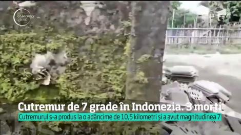 Cutremur de 7 grade în Indonezia! Trei oameni au murit