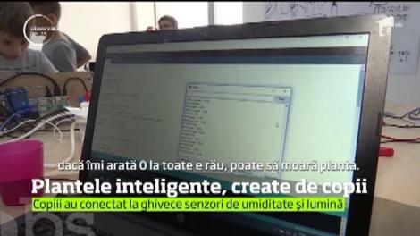 Plante inteligente, create de copii
