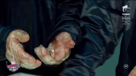 Nea Marin vrea să-i muncească pe Şerban și Coco până la epiuzare. Băieții au fost puși să curețe pește