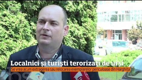 Este stare de alertă în Harghita. Numărul urşilor, în zonă, e de patru ori mai mare decât ar trebui, recunosc autorităţile