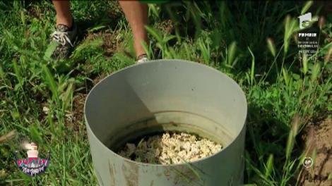 Nea Marin a decis: Surorile Cheeky Girls trebuie să facă cunoștință cu albinele