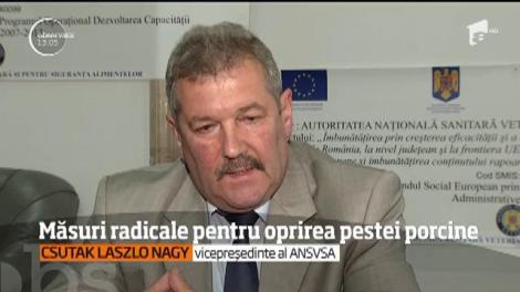 Autorităţile iau măsuri radicale ca să oprească răspândirea pestei porcine